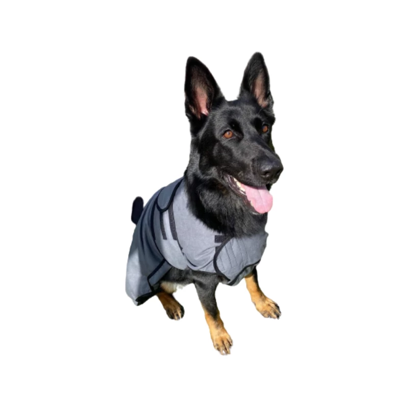 German Shepherd dog in Pawdaw of London Luxury Cooling Vest