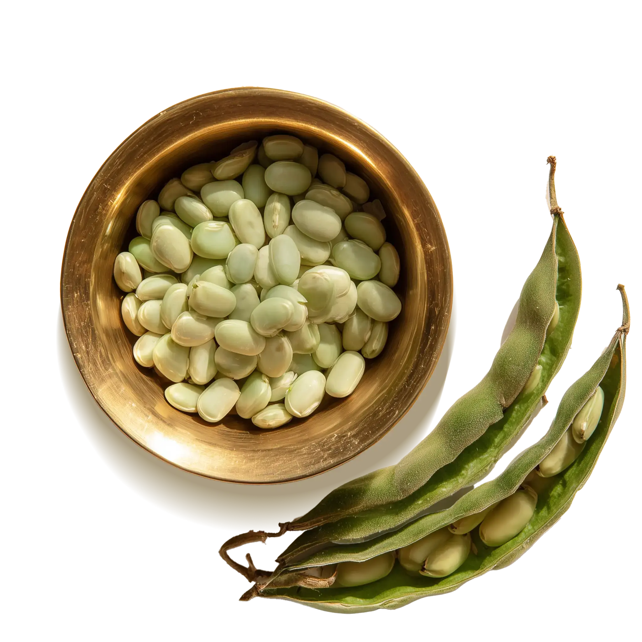 Few velvet beans surrounded by floral artworks