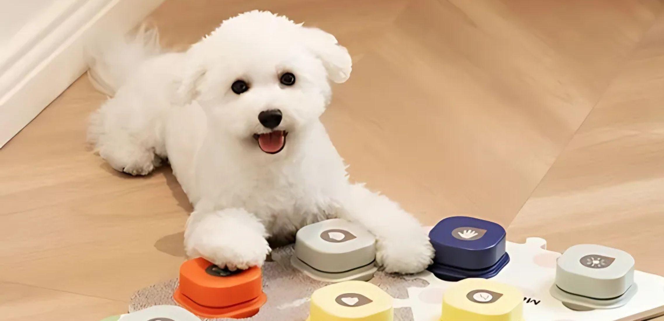 A puppy is playing with buttons