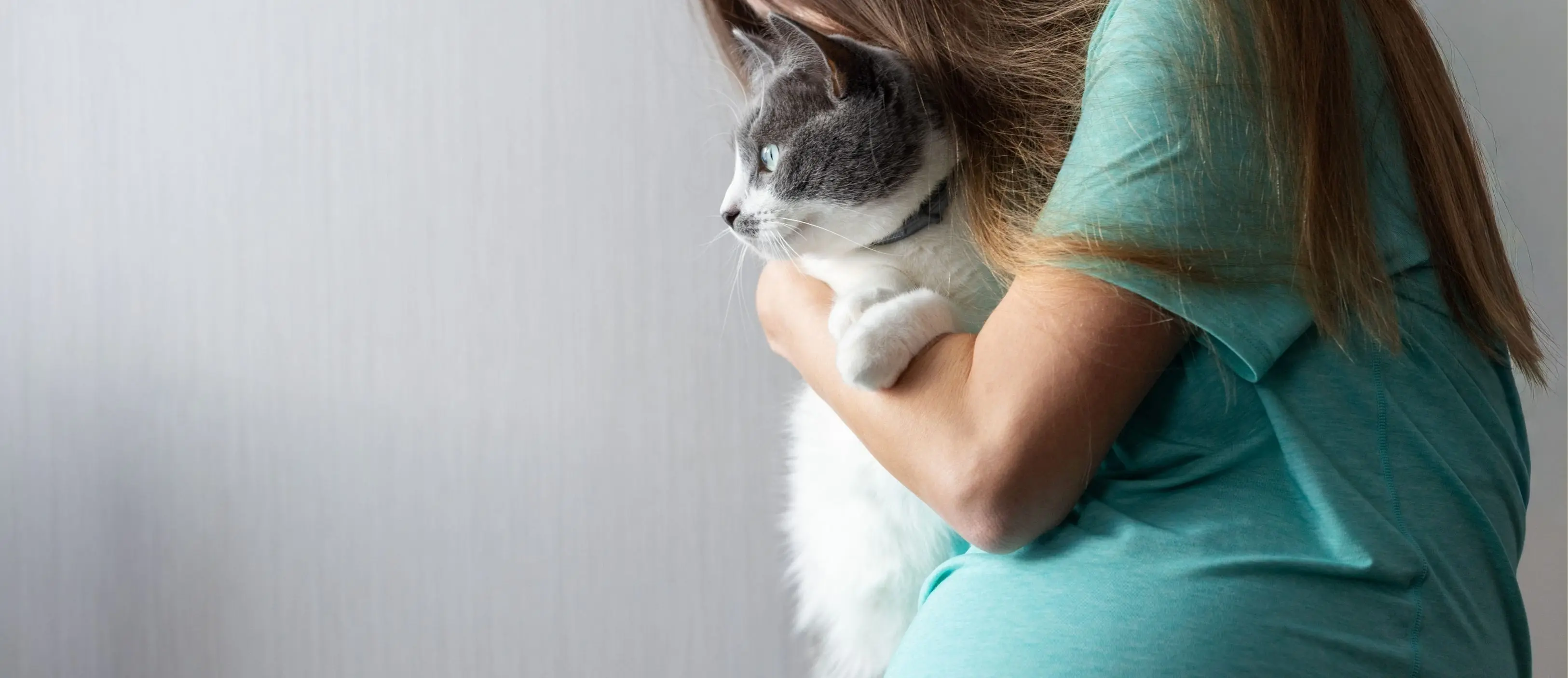 A woman holds a cat, accompanied by the text "how to care for your cat," related to pregnancy and cat safety tips.