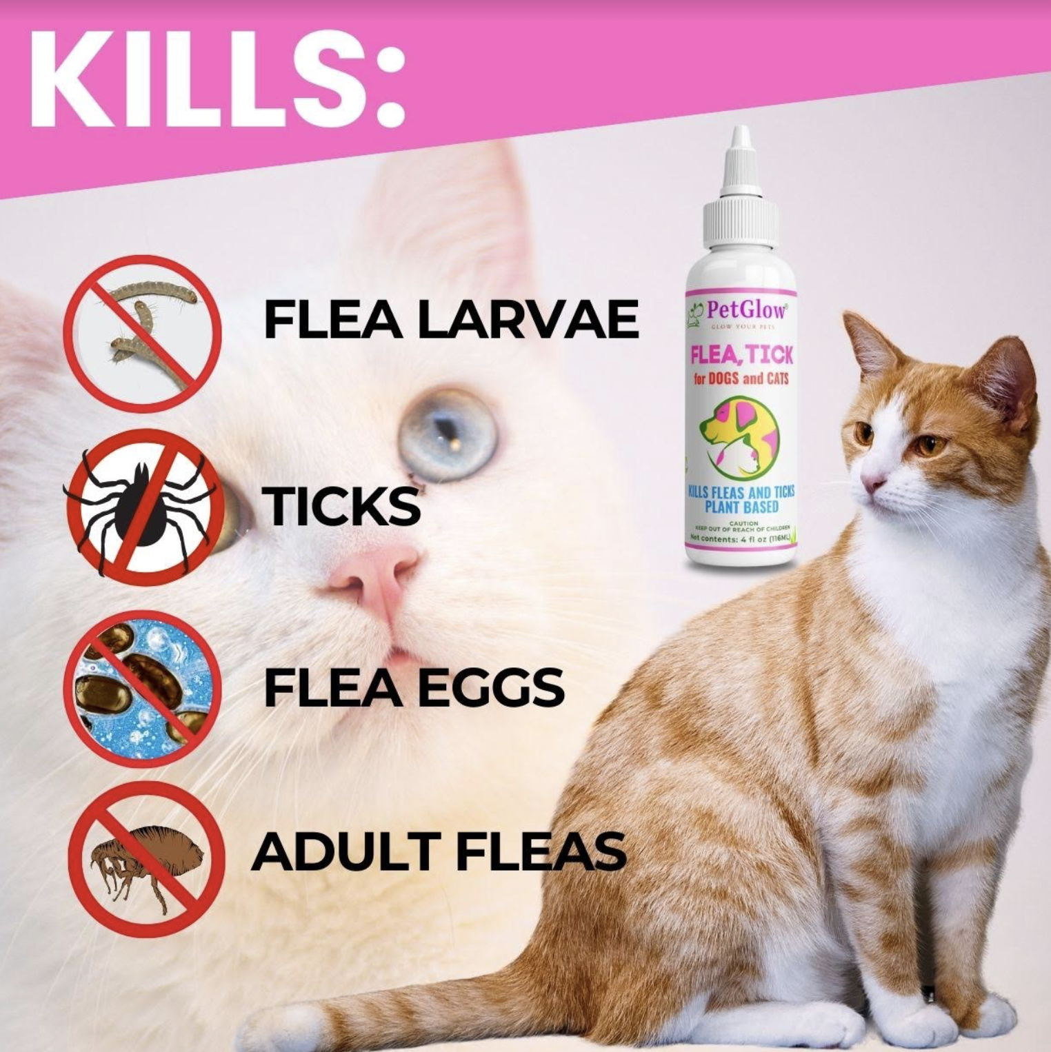 Best Flea meds for Cats