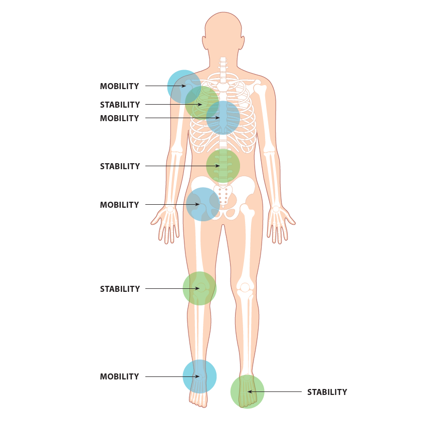 Joint by Joint Anatomy Depiction from book Built From Broken by Scott Hogan