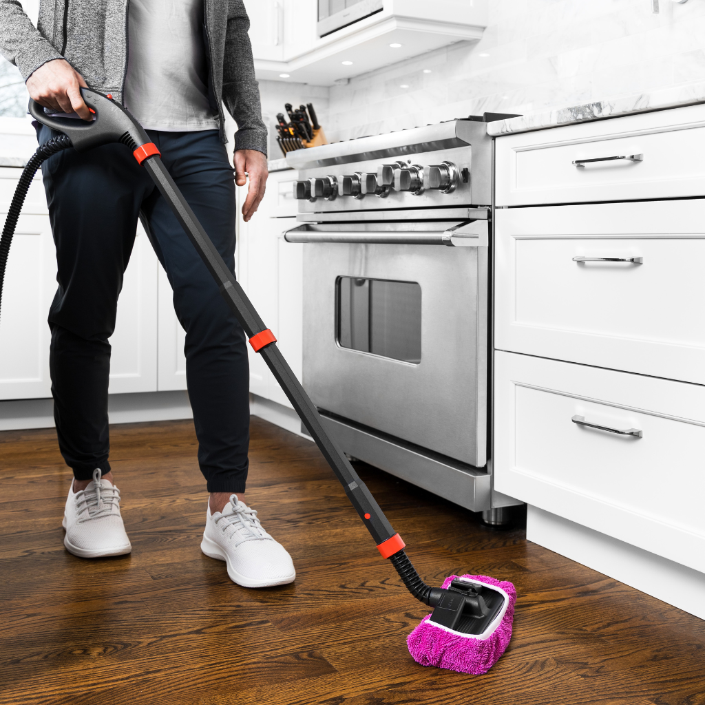 ladybug steam cleaner floors