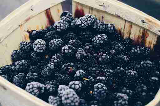 blackberries frozen fruit