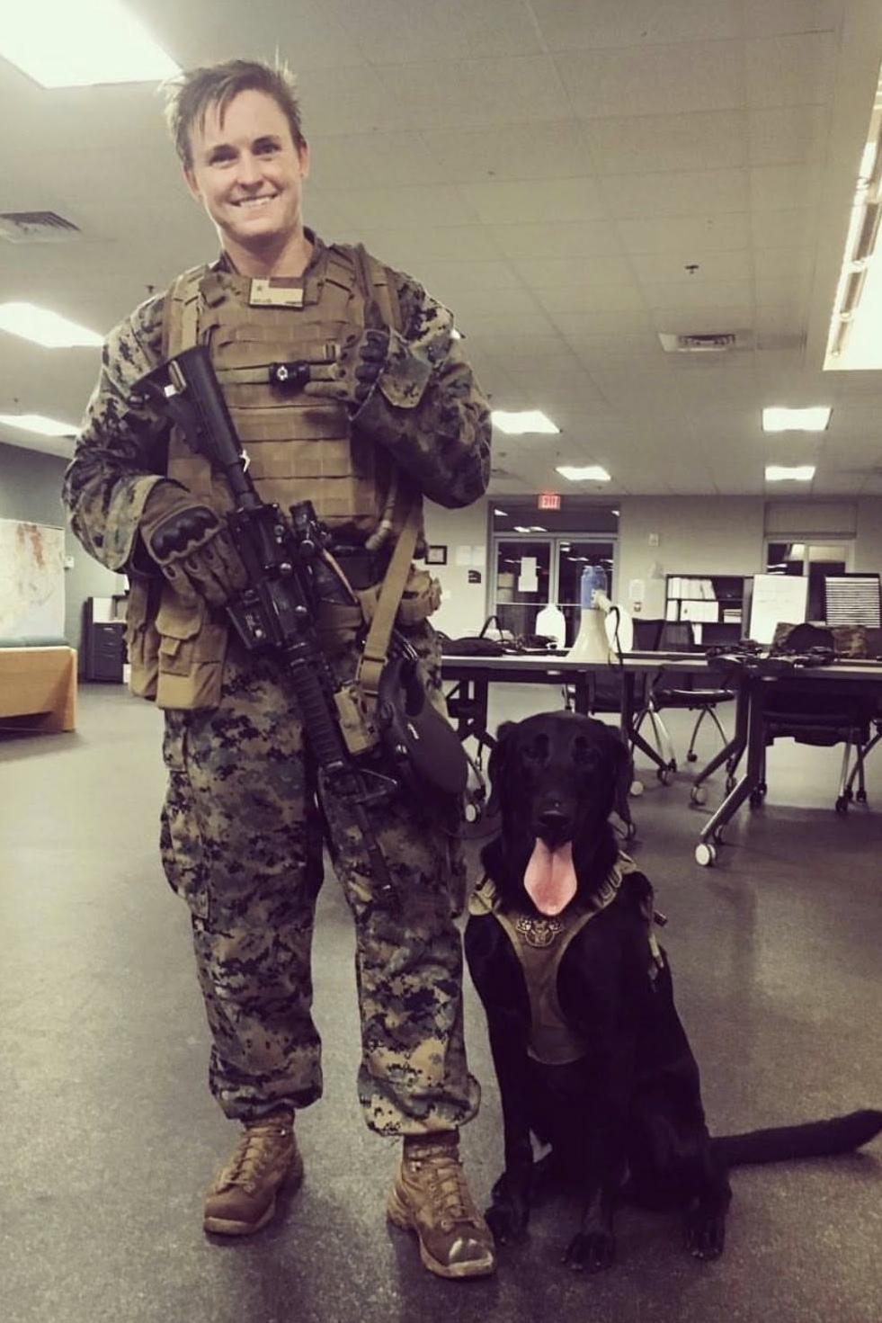 ssd jaye and handler