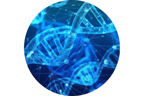 circular blue image with DNA