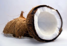 Coconut Milk powder smooths and enhances flavors while providing MCTs for energy and nutrient absorption