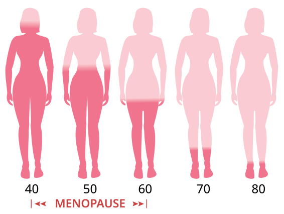 estrogen levels in women with age