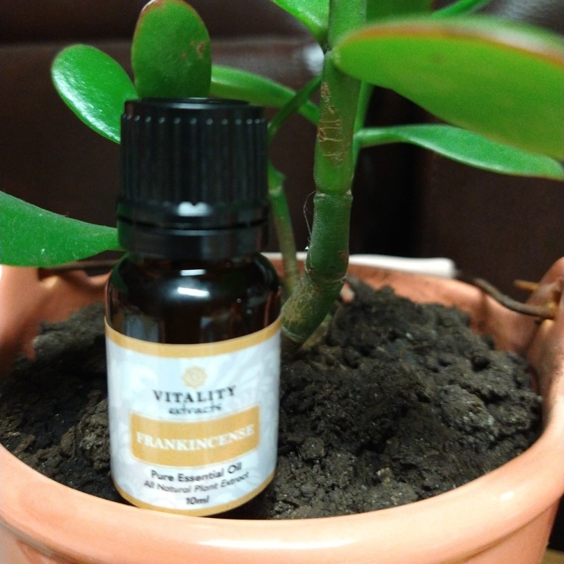 Benefits of Frankincense essential oil Click link to shop 👇🏼   By Vitality  Extracts Essential Oils