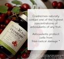 Close up aerial view of a bottle of Herbal Roots Cranberry supplement laying face up in a bowl of fresh cranberries. The text on the image says Cranberries naturally contain one of the highest concentrations of antioxidants of any fruit. Antioxidants protect cells from free-radical damage.