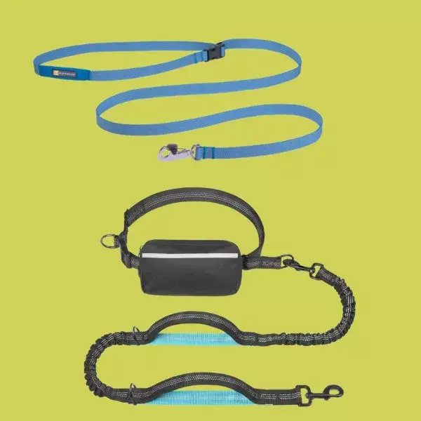 handsfree leash