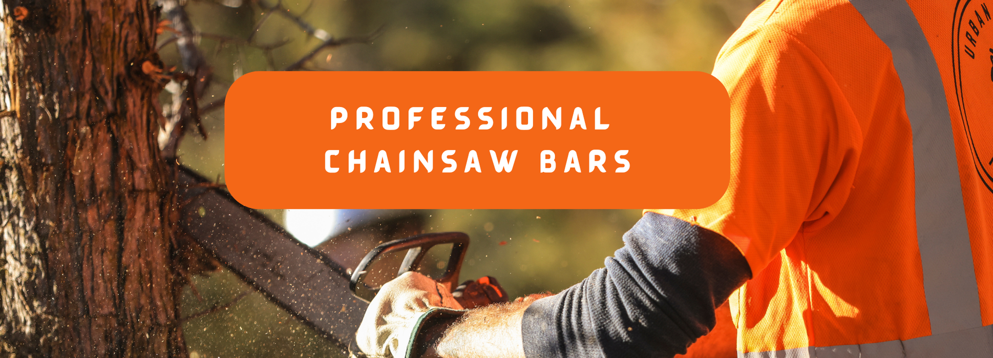 The Shop Forestry & Supply Chainsaw Bars The shop Forestry & Supply