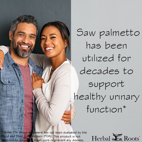 Man and a woman embracing and looking at the camera smiling. Text box says Saw Palmetto has been utilized for decades to support healthy urinary function.