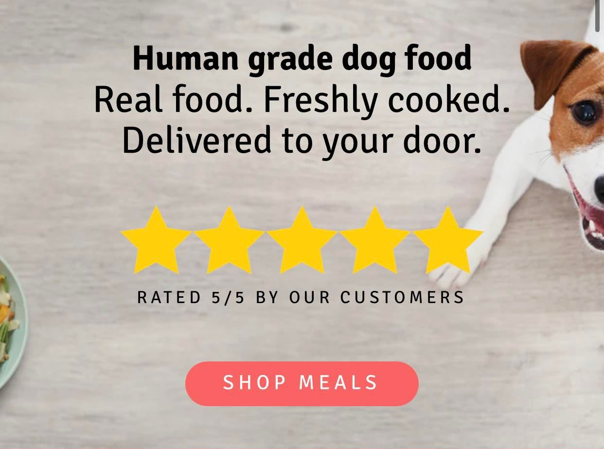 Freshly made best sale dog food