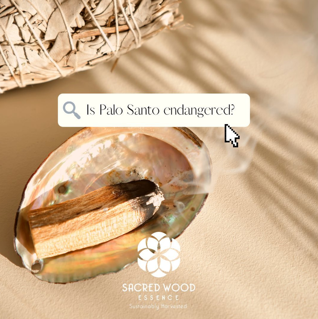 ETHICALLY HARVESTED PALO SANTO MATCHES – Take Care Space