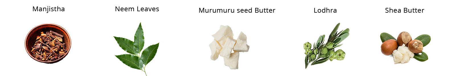 Images of Kayphal, Manjishta, Neem Leaves, Murumuru Seed Butter, Lodhra, and Shea butter