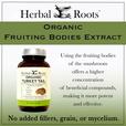 Organic fruiting bodies extract