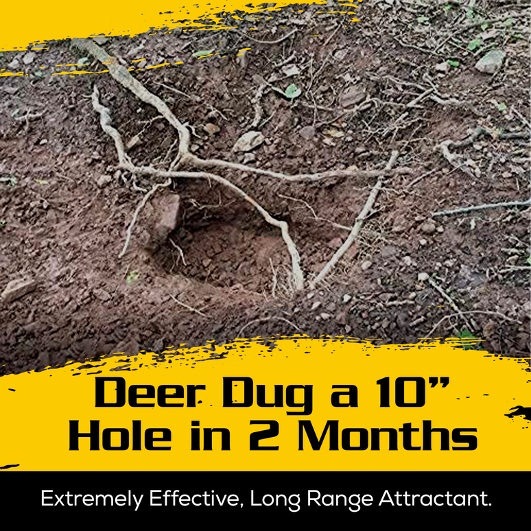 Antler Power Deer Mineral Outdoor Hunting Lab