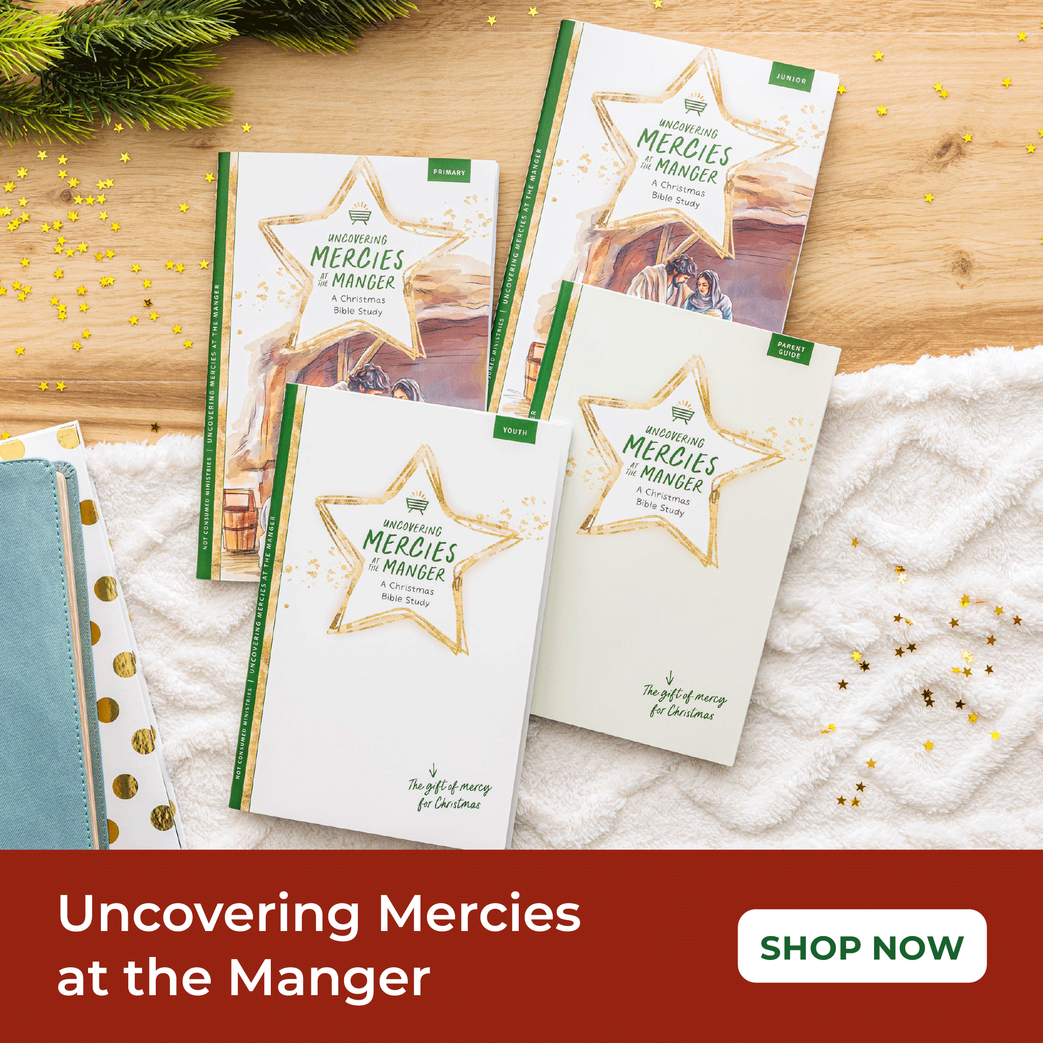 Uncovering Mercies at the Manger Christmas Bible study