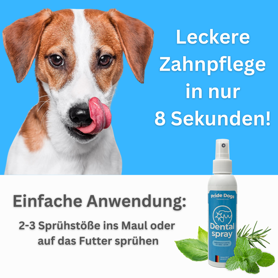 Dentalspray hund