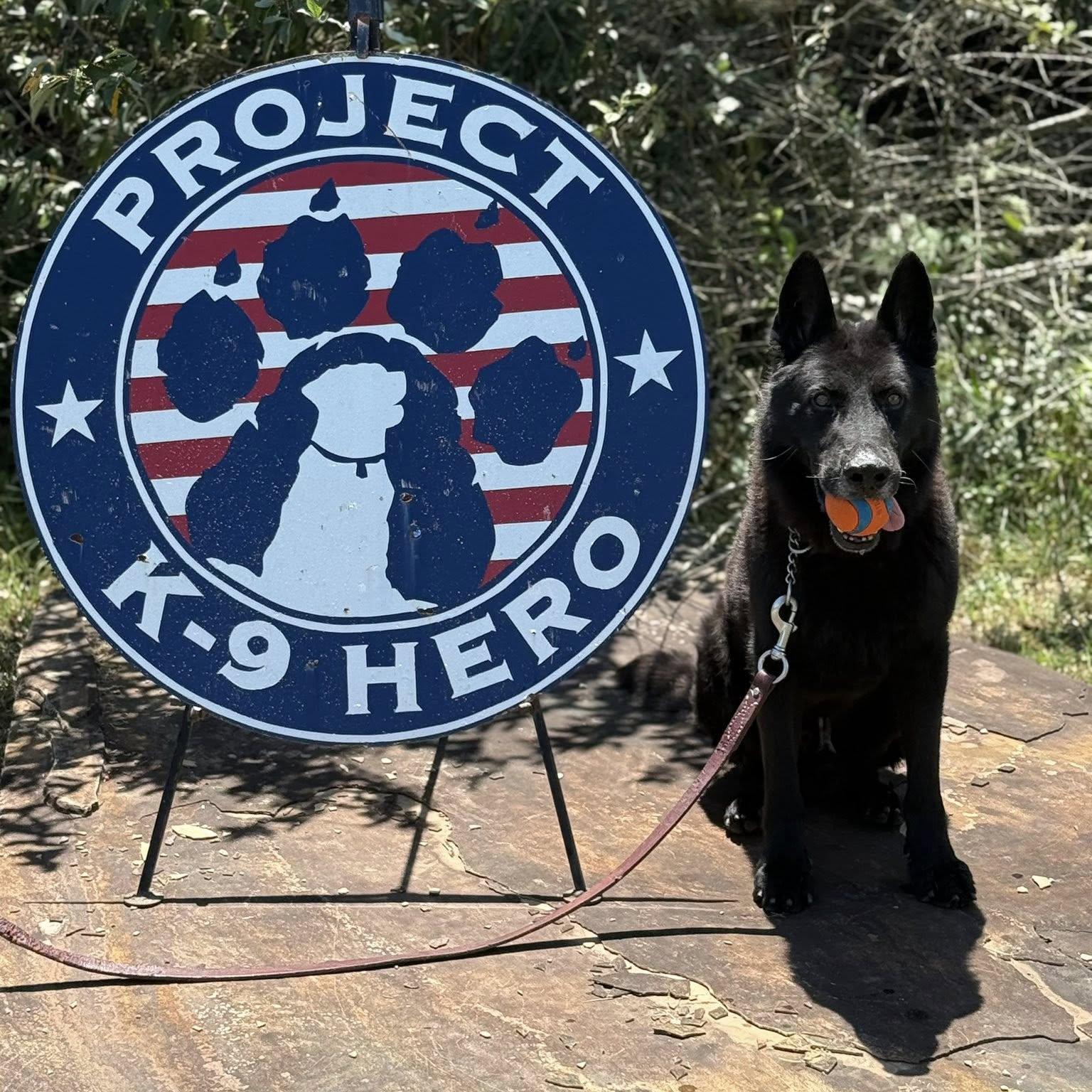 k9 bruno at pk9h