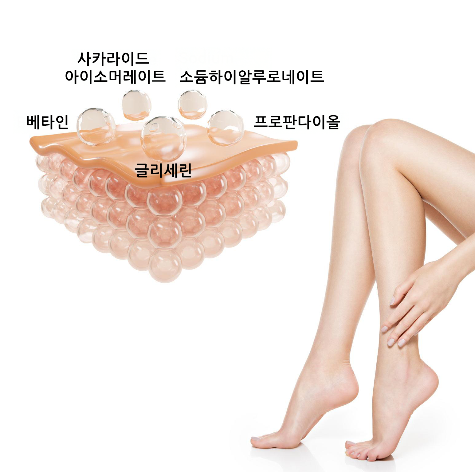 5 humectants aka moisture magnets