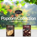 Popcorn Seed Collection - 2 heirloom seed packets