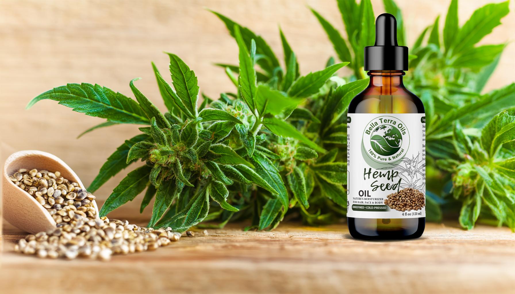 How to Extract Hemp Seed Oil