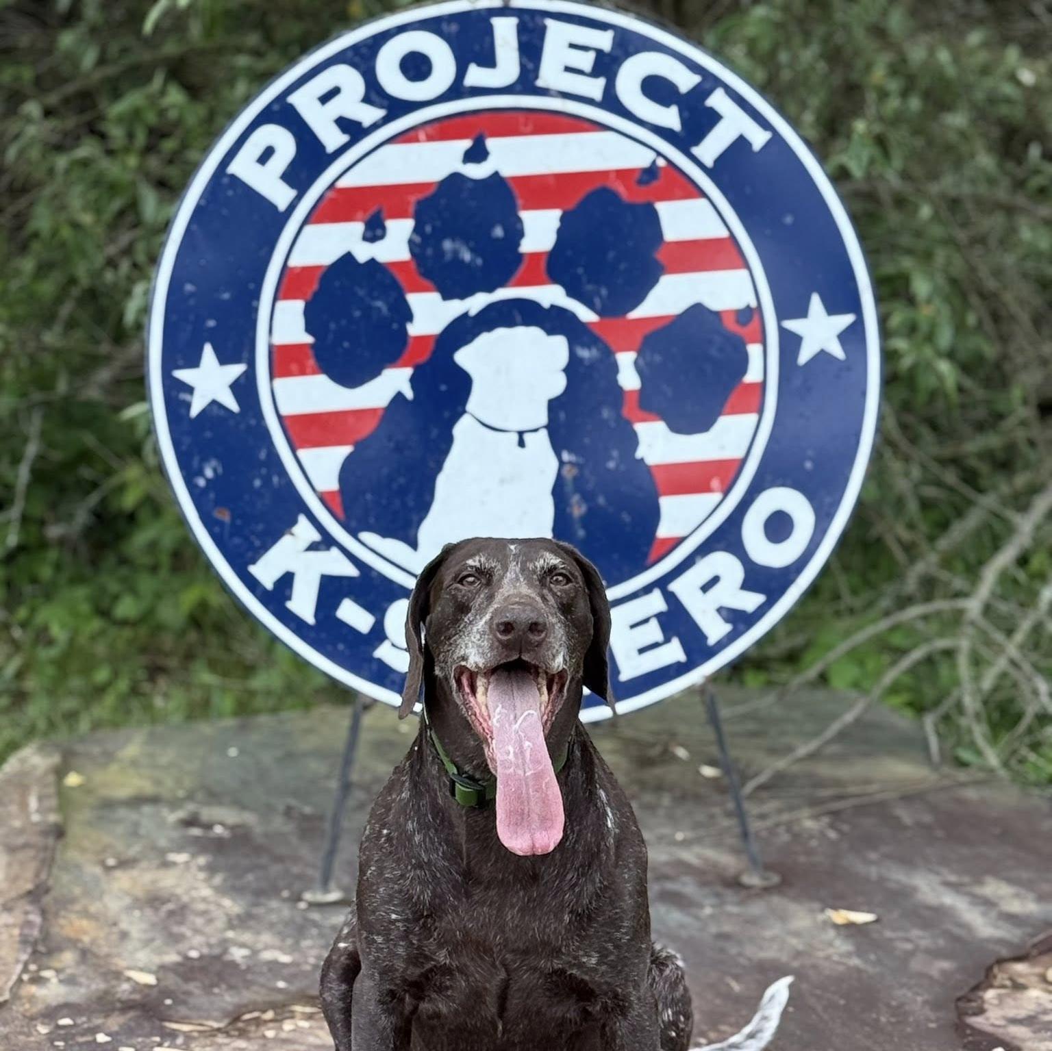 k9 deni in front of our logo