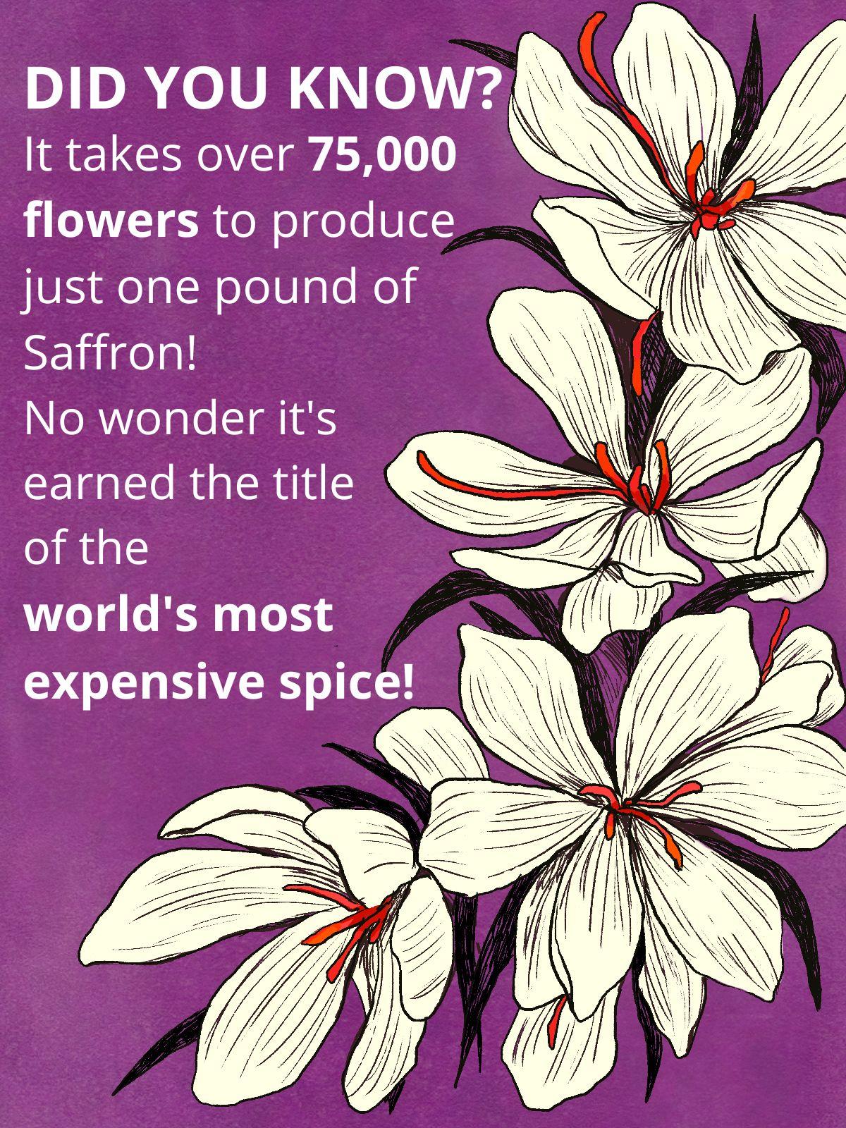 Did you know? It takes over 75,000 flowers to produce just one pound of Saffron! No wonder it's earned the title of the world's most expensive spice!
