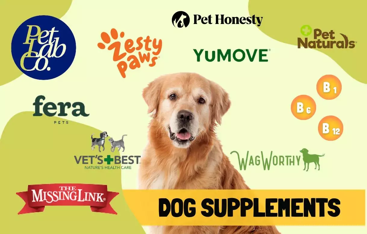 top rated pet supplement brands