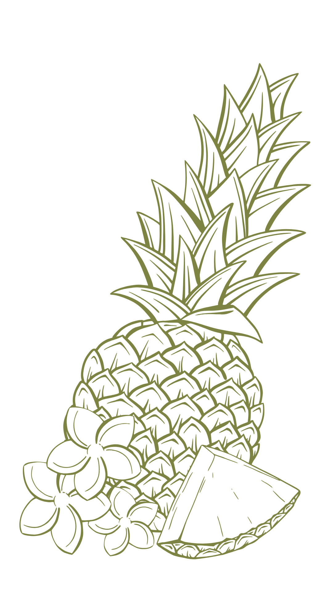 Ananas