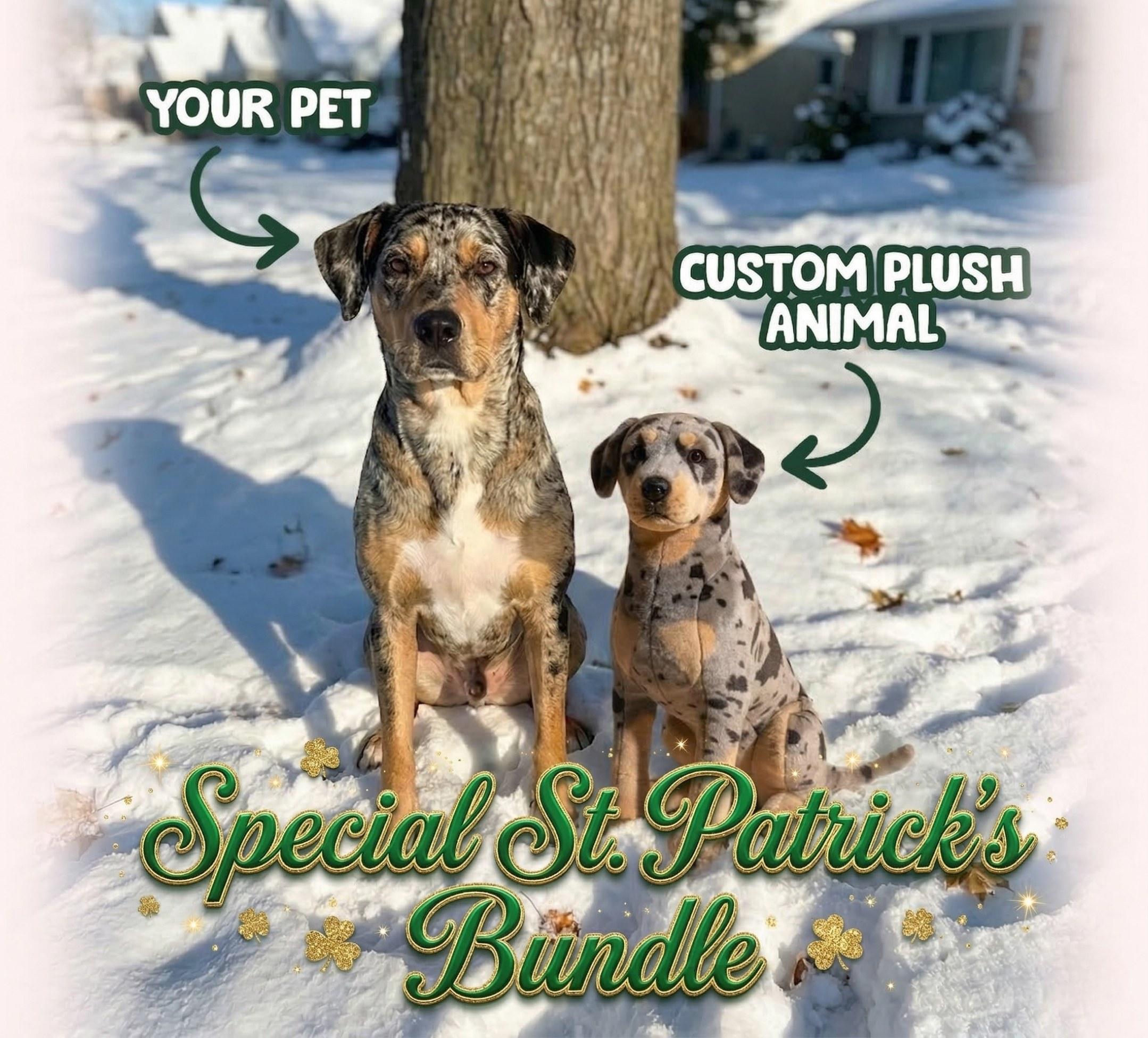 Side-by-side golden retriever and custom stuffed animal that looks like your pet