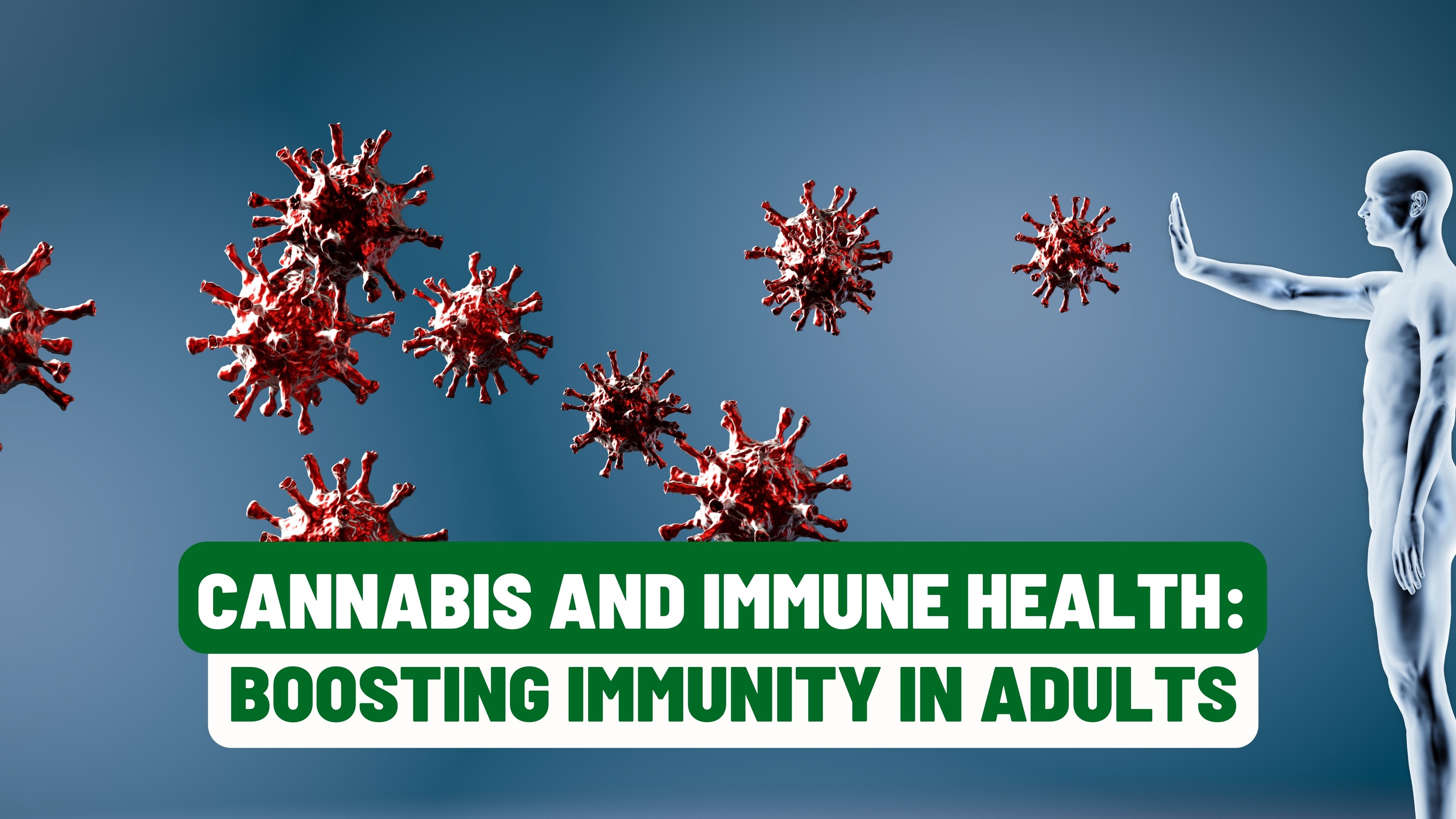 Cannabis and Immune Health: Boosting Immunity in Adults