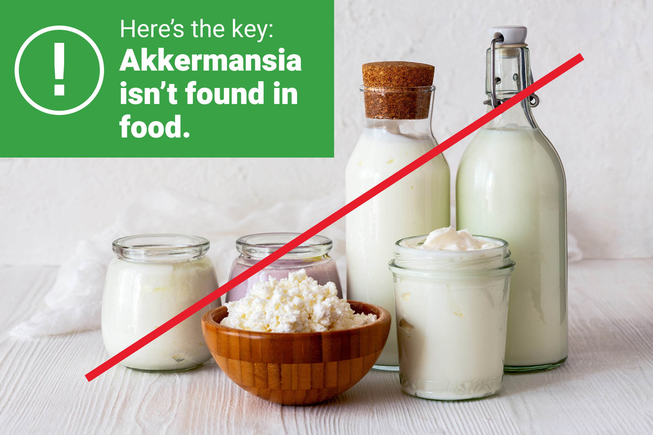 Akkermansia Isn't Found in Food