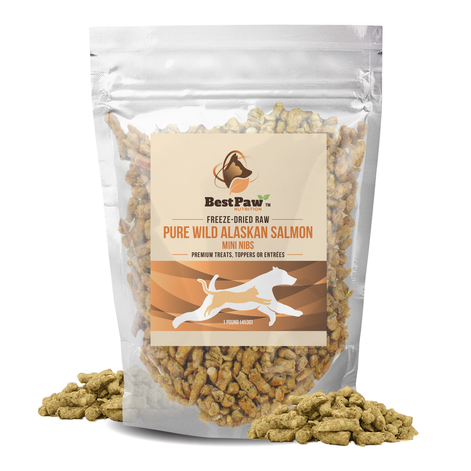 5 Easy Tips to Decrease Dog Shedding — Best Paw Nutrition