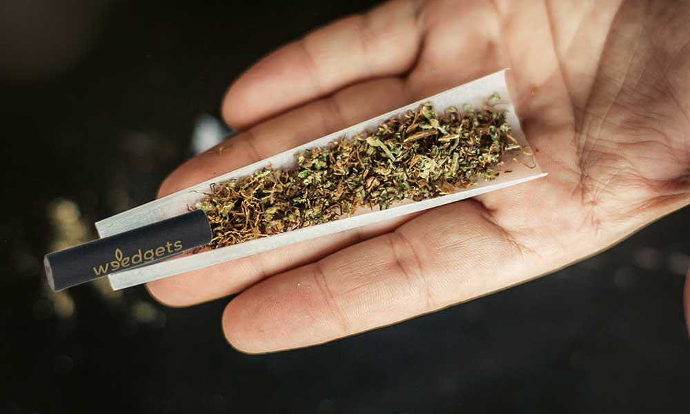 zps_imgalt_21052487_21052488_