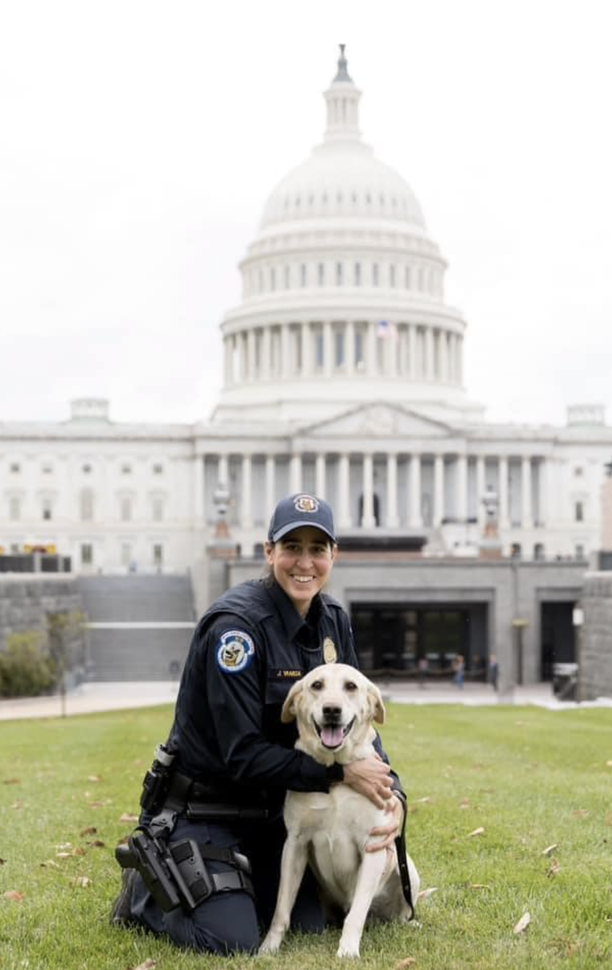 K9 chief and handler