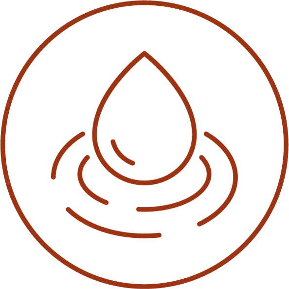Icon 13