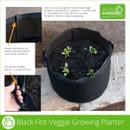 Black GeoFelt veggie growing planter bag with young seedlings, showing size measurements, double stitching, and reinforced side handles for easy lifting.