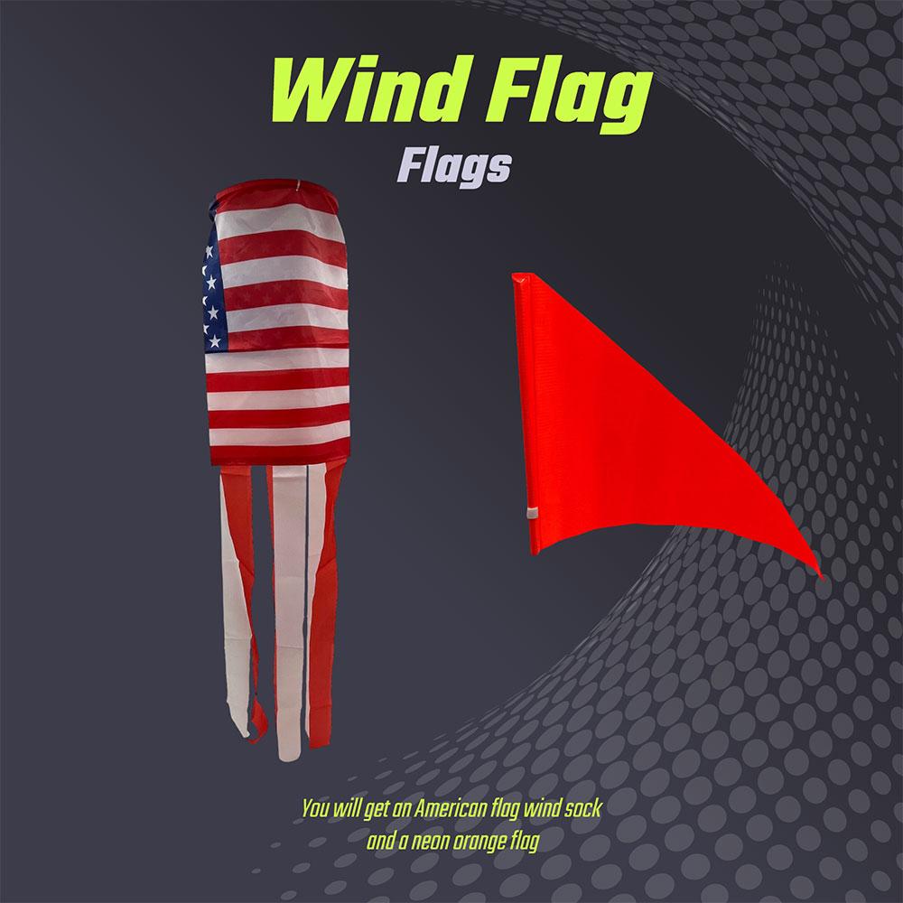 Swinging flag