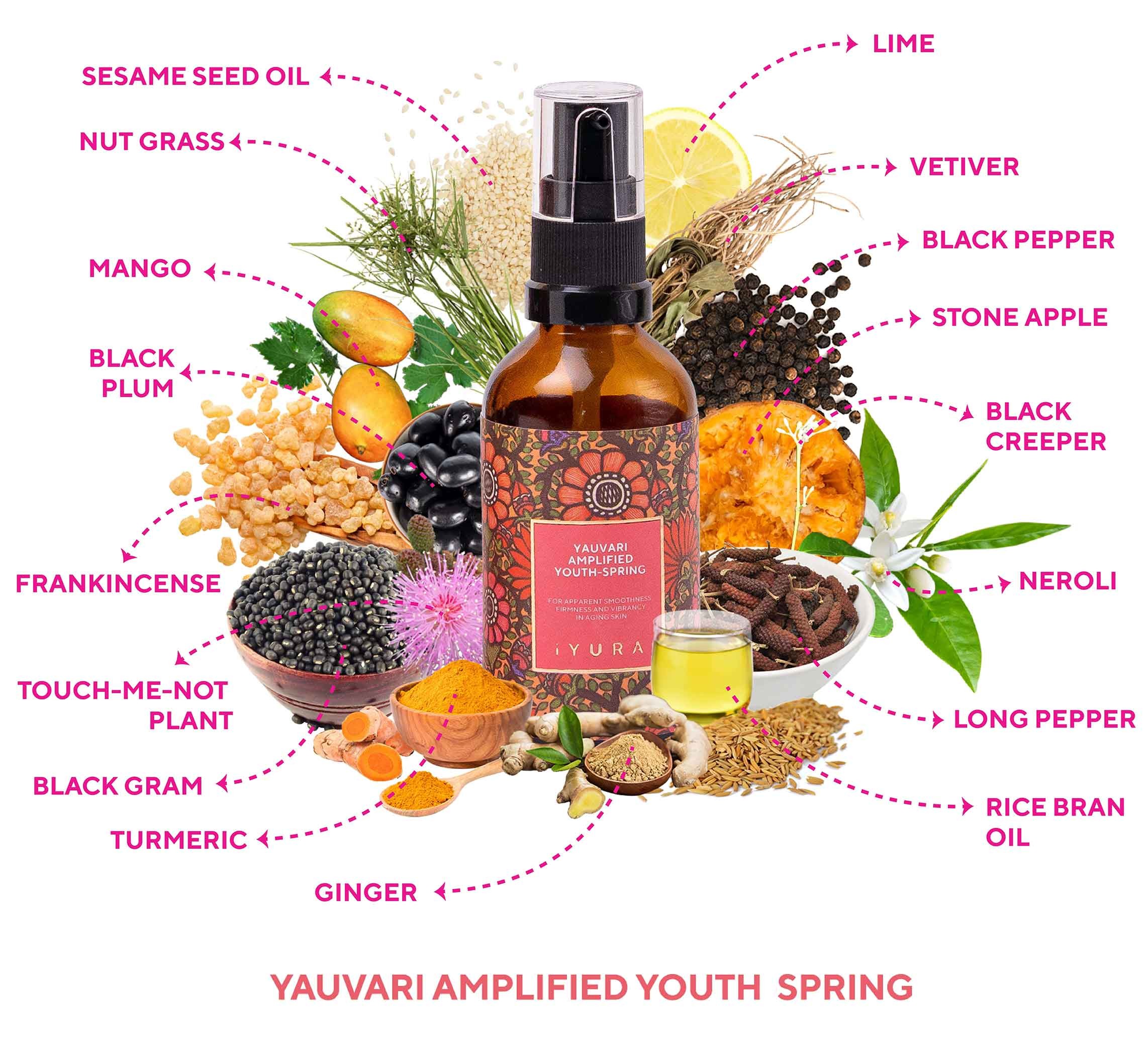 List of ingredients in yauvari amplified youth spring depicted with their photos