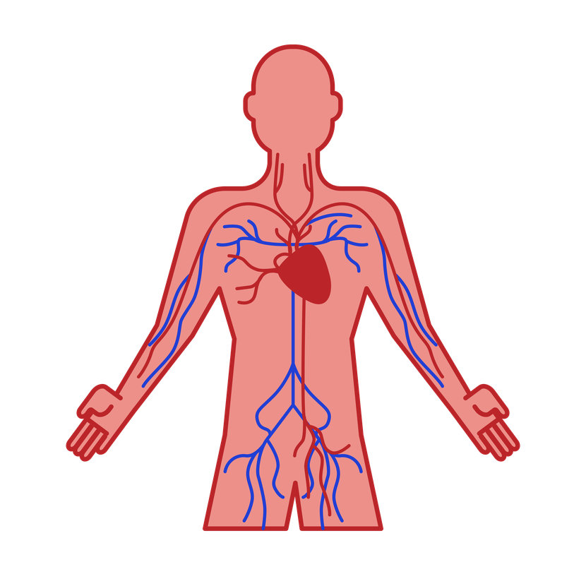 Nitric Oxide Organic Beets