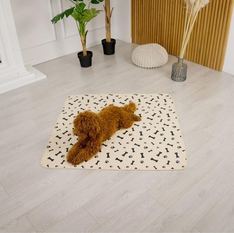 Dogs lying on floor