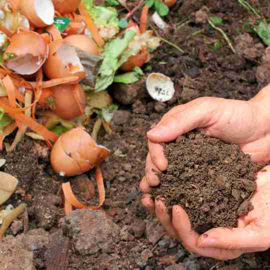 Composting gives your waste a purpose!