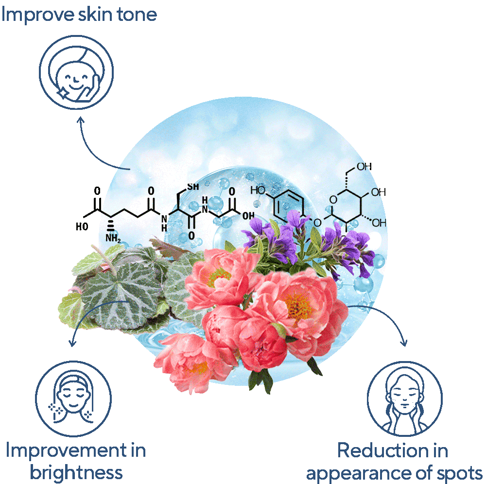 infographs showing benefits of combined mix of ARBUTIN, STRAWBERRY BEGONIA, MOUTAN PEONY, BAICALL SKULLCAP, and GLUTATHIONE