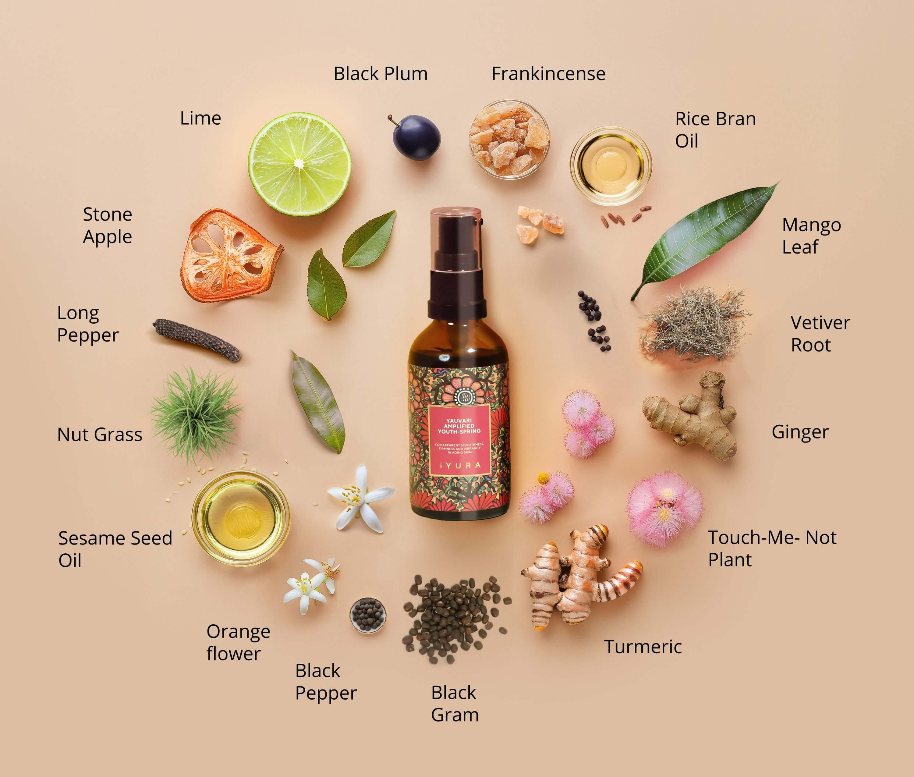 Complete list of ingredients