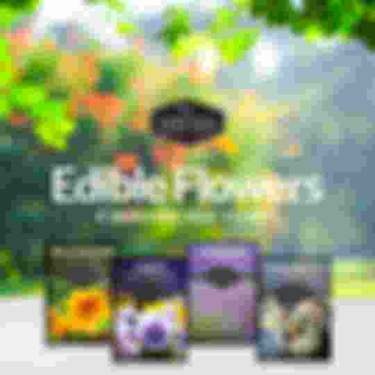 Edible Flowers Seed Collection - 4 varieties of flower seeds