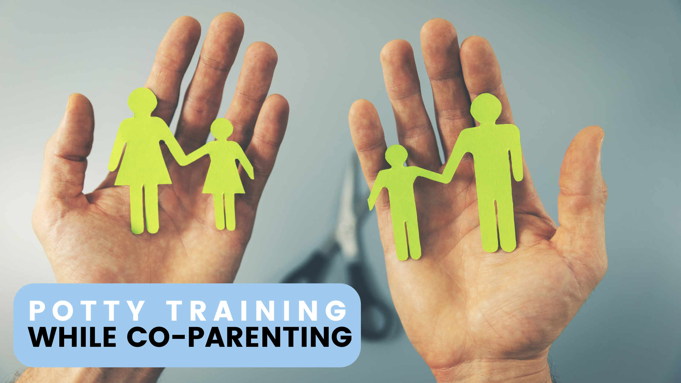 co-parenting and potty training