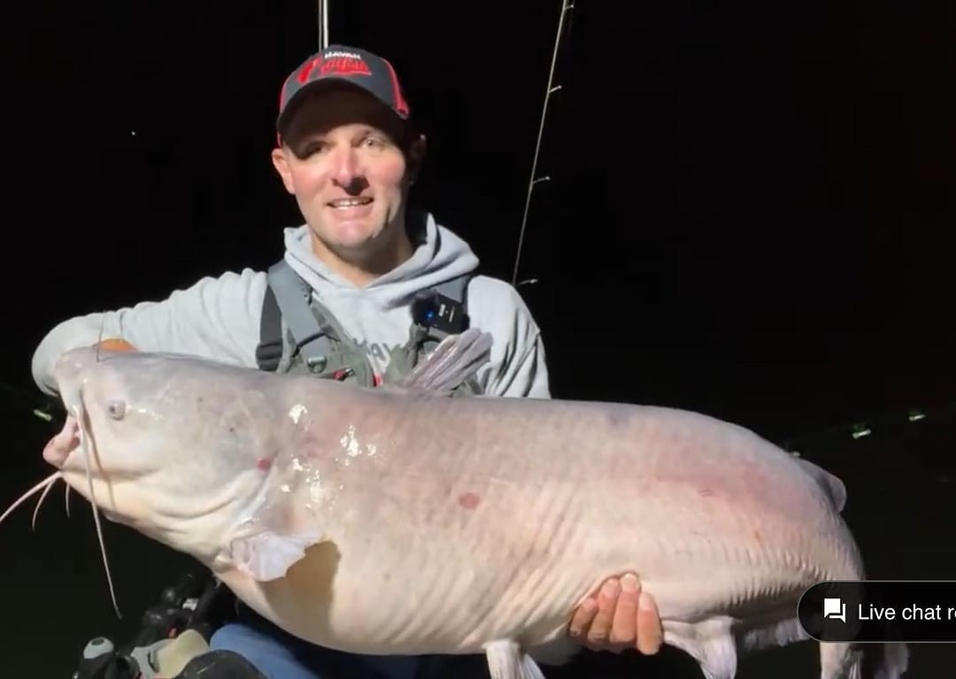 Learn To Catch Bigger Catfish – Catfish Sumo